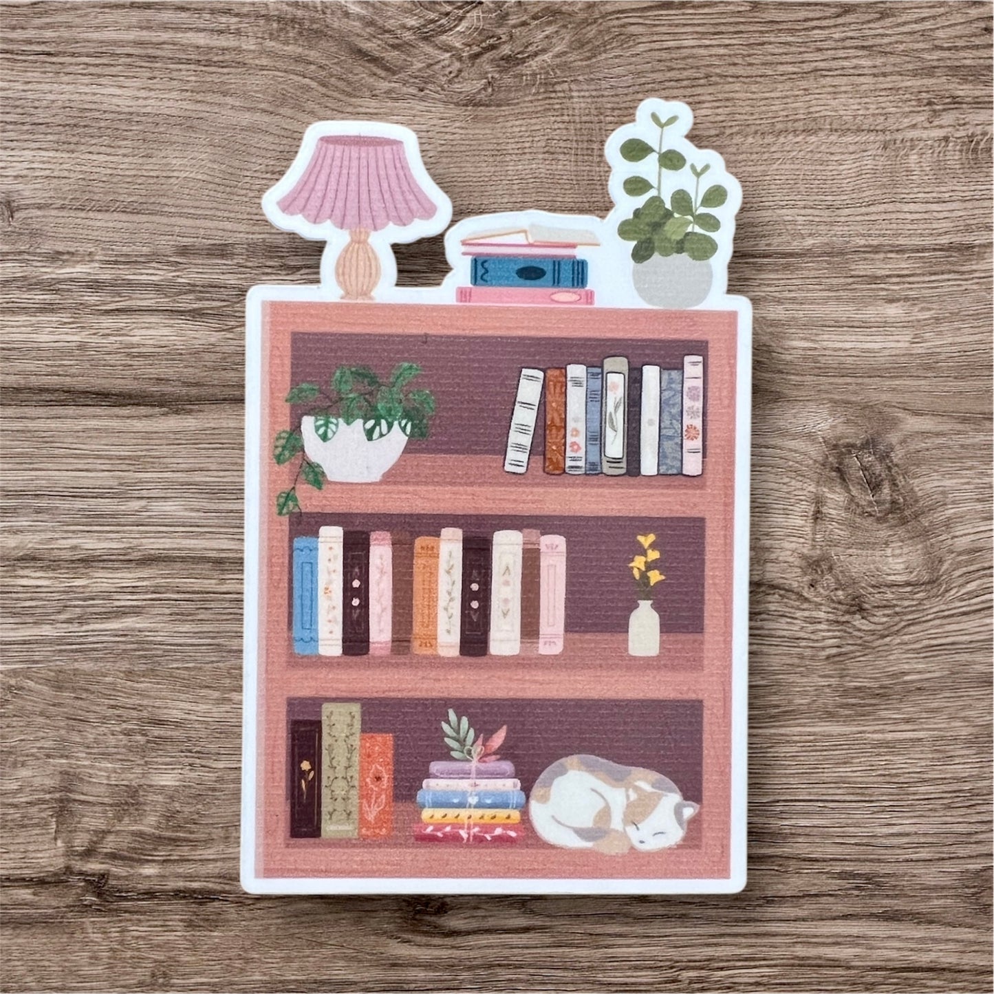 Cozy reads and Cat Naps