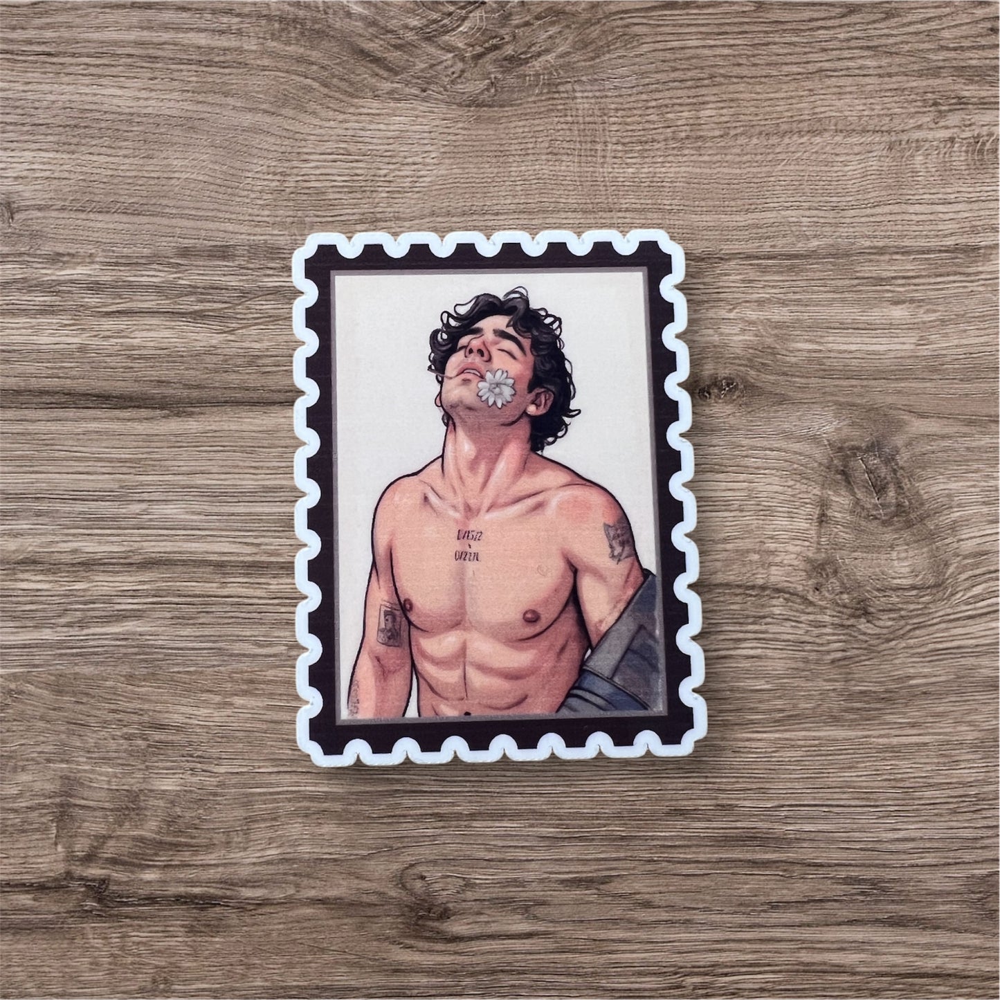 Jonas brothers stamp collection