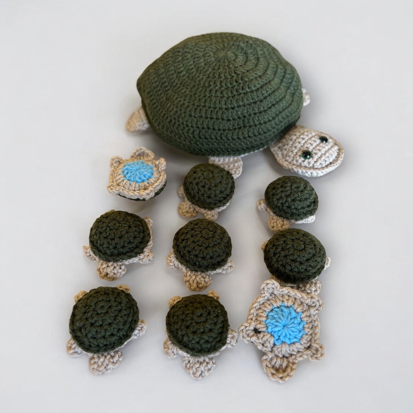 Turtle matching game