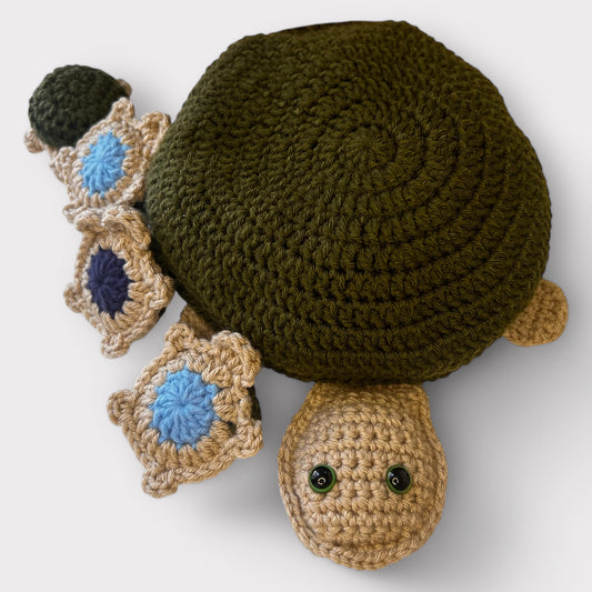 Turtle matching game