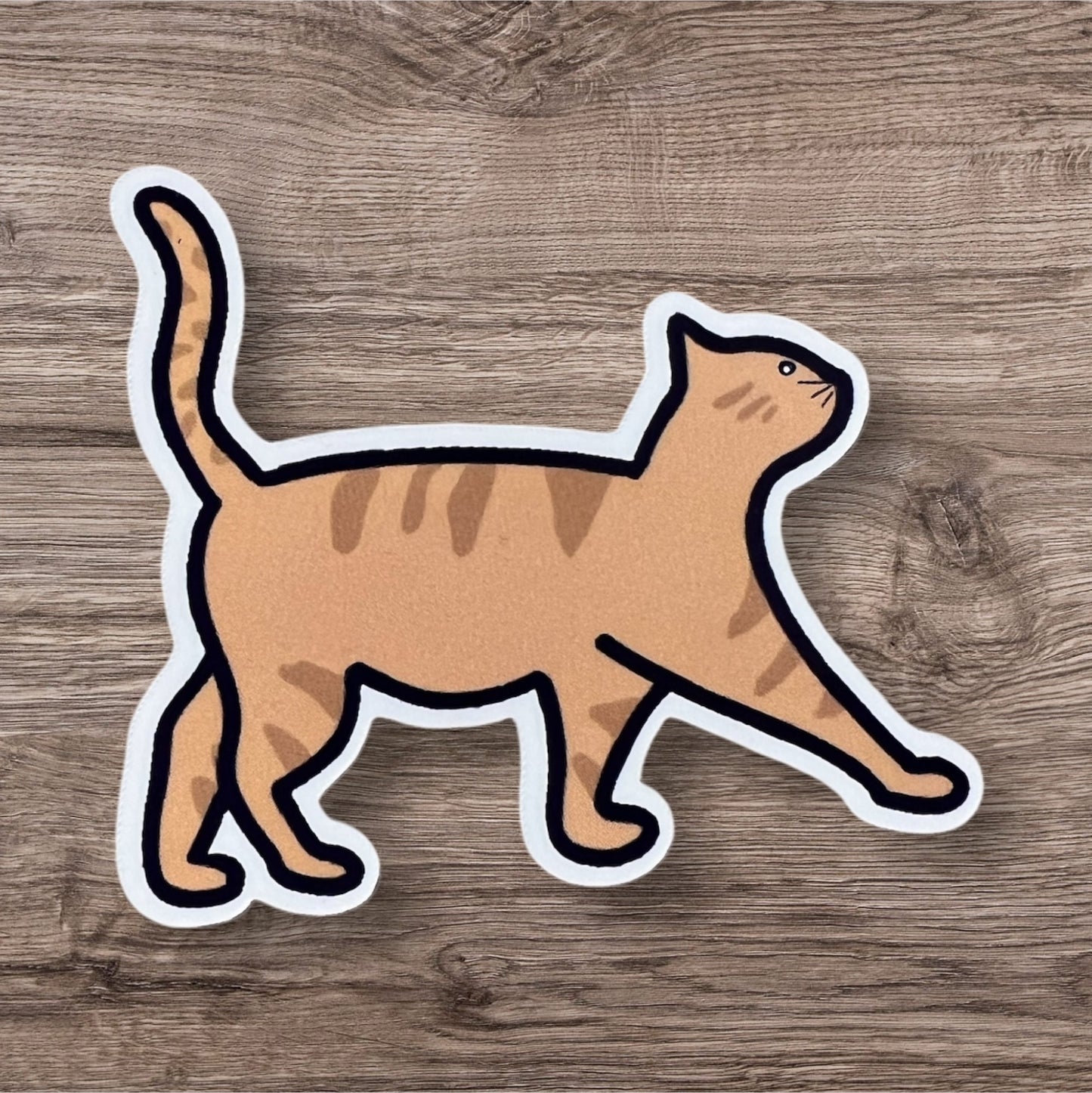 Orange cat sticker